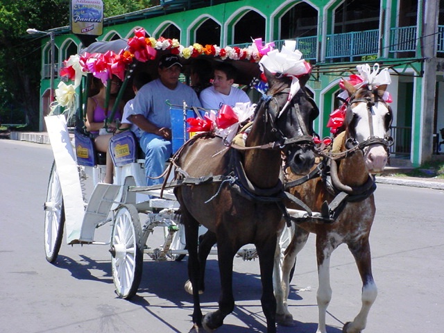 Coche en la ciudad de Granada